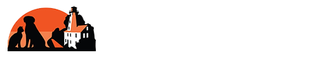 Queen Street Veterinary Services